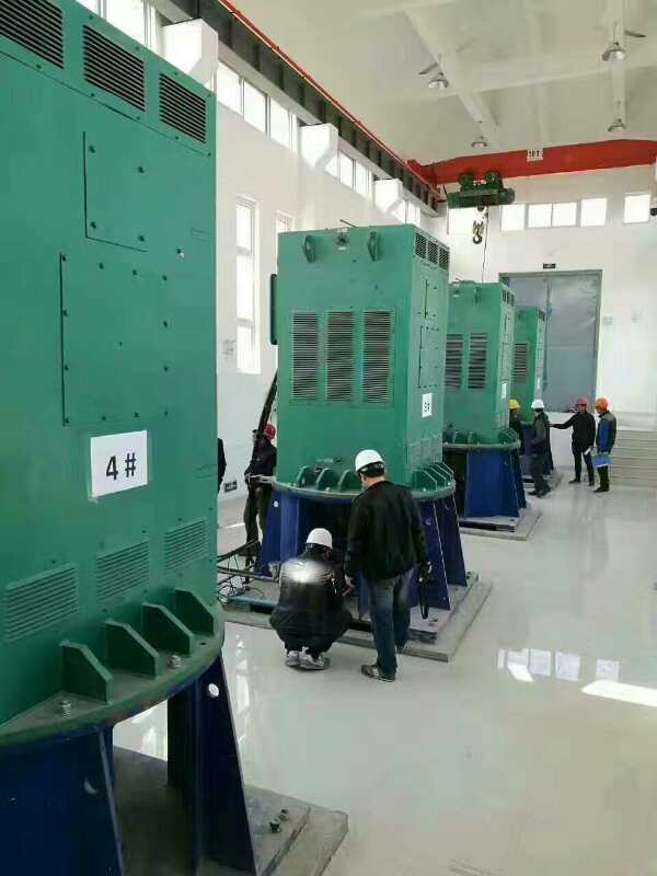仪征某污水处理厂使用我厂的立式高压电机安装现场